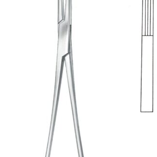 13-521-24-07  ~ KLEMME, FINOCHIETTO, ABGEW., 24,5 CM ~