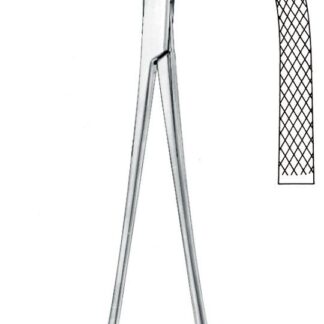 13-613-23-07  ~ KLEMME, HEANEY, 1 ZAHN, GEB., 24 CM ~