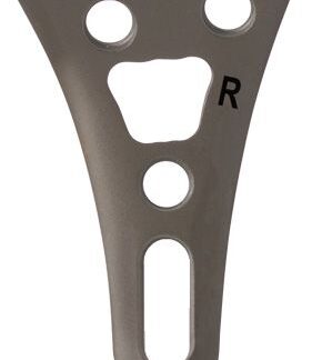 26-912-10-09  ~ IXOS P2, SCHMAL, PALMAR, L43 RE TI ~