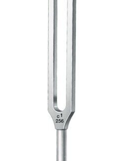 36-212-11-04  ~ STIMMGABEL, LUCAE, M. FUSS, C1 256 ~