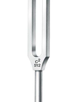 36-214-12-04  ~ STIMMGABEL, LUCAE, M. FUSS, C2 512 ~