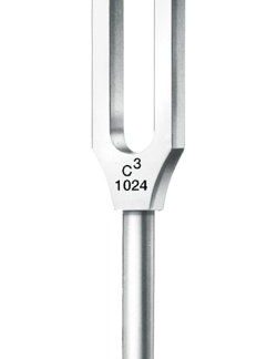 36-216-13-04  ~ STIMMGABEL, LUCAE, M. FUSS, C3 1024 ~