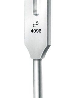 36-220-15-04  ~ STIMMGABEL, LUCAE, M. FUSS, C5 4096 ~