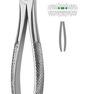 40-001-00-07  ~ ZAHNZANGE, ENGLISCHE FORM, FIG. 1 ~