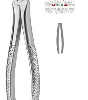 40-002-00-07  ~ ZAHNZANGE, ENGLISCHE FORM, FIG. 2 ~