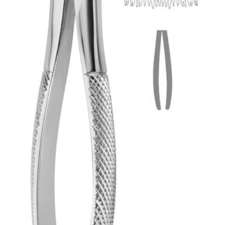 40-024-00-07  ~ ZAHNZANGE, ENGLISCHE FORM, FIG. 24 ~