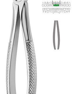 40-029-00-07  ~ ZAHNZANGE, ENGLISCHE FORM, FIG. 29 ~