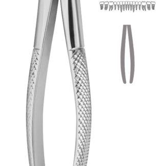 40-033-01-07  ~ ZAHNZANGE, ENGLISCHE FORM, FIG. 33A ~