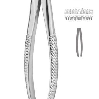 40-033-06-07  ~ ZAHNZANGE, ENGLISCHE FORM, FIG. 33M ~