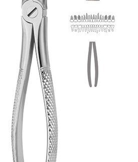 40-051-03-07  ~ ZAHNZANGE, ENGLISCHE FORM, FIG. 51C ~