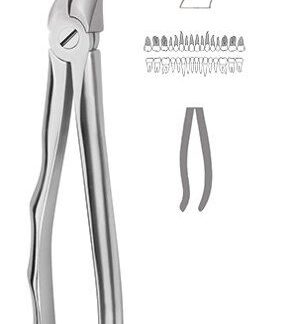 40-451-01-07  ~ ZAHNZANGE, MARTIN-ERGO, DIAM., FIG. 51A ~