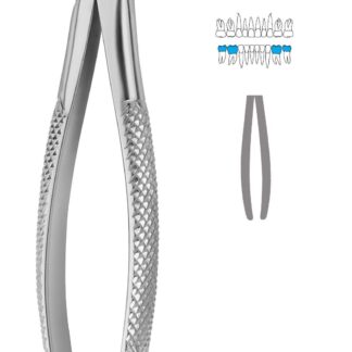 40-613-09-07  ~ KINDER-ZAHNZANGE, ENGL. FORM, FIG. 13S ~