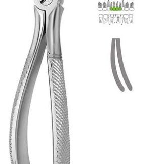 40-630-09-07  ~ KINDER-ZAHNZANGE, ENGL. FORM, 30S ~