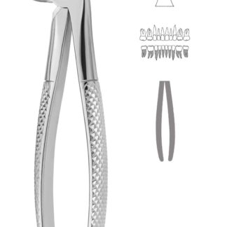 40-633-09-07  ~ KINDER-ZAHNZANGE, ENGL. FORM, FIG. 33S ~