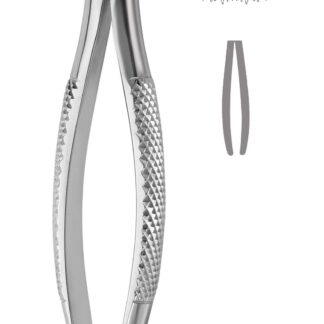 40-637-00-07  ~ KINDER-ZAHNZANGE, ENGL. FORM, FIG. 37 ~