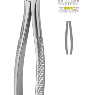 40-638-00-07  ~ KINDER-ZAHNZANGE, ENGL. FORM, FIG. 38 ~