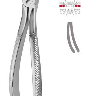 40-639-00-07  ~ KINDER-ZAHNZANGE, ENGL. FORM, FIG. 39 ~