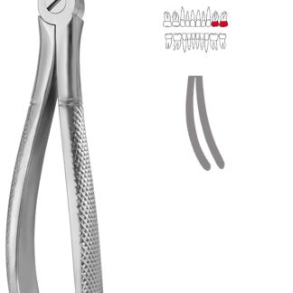 40-639-05-07  ~ KINDER-ZAHNZANGE, ENGL. FORM, FIG. 39L ~