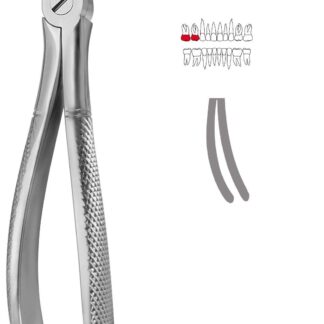 40-639-08-07  ~ KINDER-ZAHNZANGE, ENGL. FORM, FIG. 39R ~