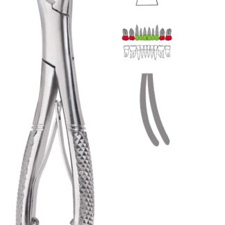 40-850-09-07  ~ KINDER-ZAHNZANGE, MOD. USA, FIG. 150SK ~