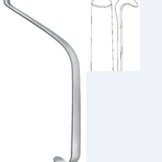 48-121-20-07  ~ PROGENIERINNE 16,5 CM N. RASSE ~