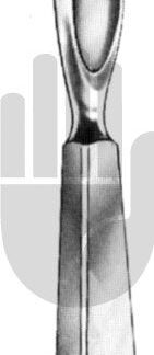 HB3606-25  ~ Lambotte Raspatorium, 25mm, 21cm ~