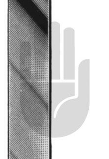 HB3676-02  ~ Blount Knochenhebel, 2-zahnig, 26cm ~