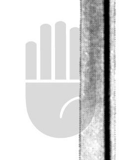 HB3677-18  ~ Blount Meniskushaken, 17cm ~