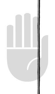 HB4604  ~ Guyon Kathetereinführungs- instrument, 36cm ~