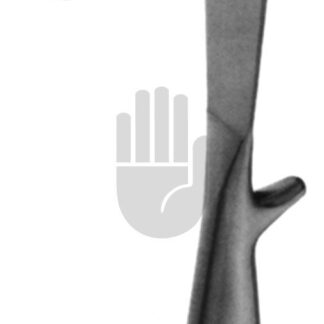 HB4661  ~ Young Prostatahaken, 21cm ~