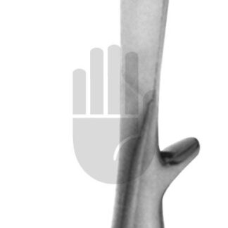 HB4663  ~ Young Prostatahaken, 21cm ~