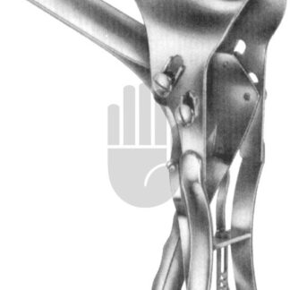 HB4816-01  ~ Seyffert Scheidenspekula, Fig.1, 100x17mm ~
