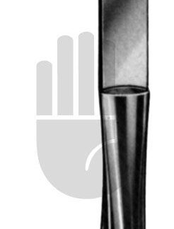 HB4840  ~ Doyen Scheidenspekula, 70x30mm, 24cm ~