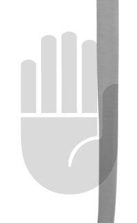 HB5398  ~ Beacham Amniotom, 26cm ~