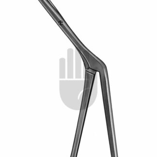 HB5568  ~ Westmacott Nasenzange, 20cm ~