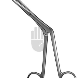 HB5570  ~ Killian Nasenzange, 17cm ~