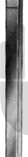 HB5620-09  ~ Cottle Nasen-Osteotom, 9mm, 18cm ~