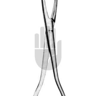 HB5901  ~ Collin Zungenzange, 19cm ~