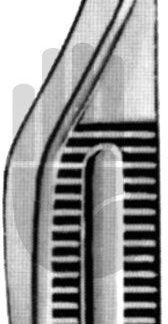 HB7003  ~ Gill-Hess Irispinzette, Zähne unten, 7,5cm ~