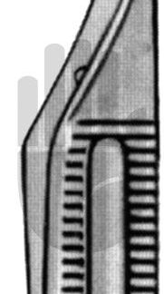 HB7050  ~ Gill-Arruga Kapselpinzette, 7,5cm ~