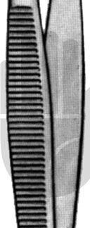 HB7060  ~ Graefe Fixierpinzette, ohne Schloß, 11cm ~