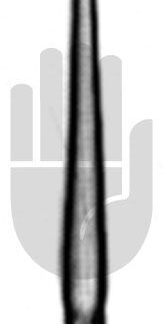 HB7276  ~ Graefe (Tyrell) Augenhäkchen, Fig.2, stumpf, 12cm ~