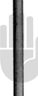 HB7288  ~ Wilder Tränenkanal-Dilatator, Fig.2, 10cm ~