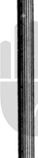 HB7289  ~ Wilder Tränenkanal-Dilatator, Fig.3, 10cm ~